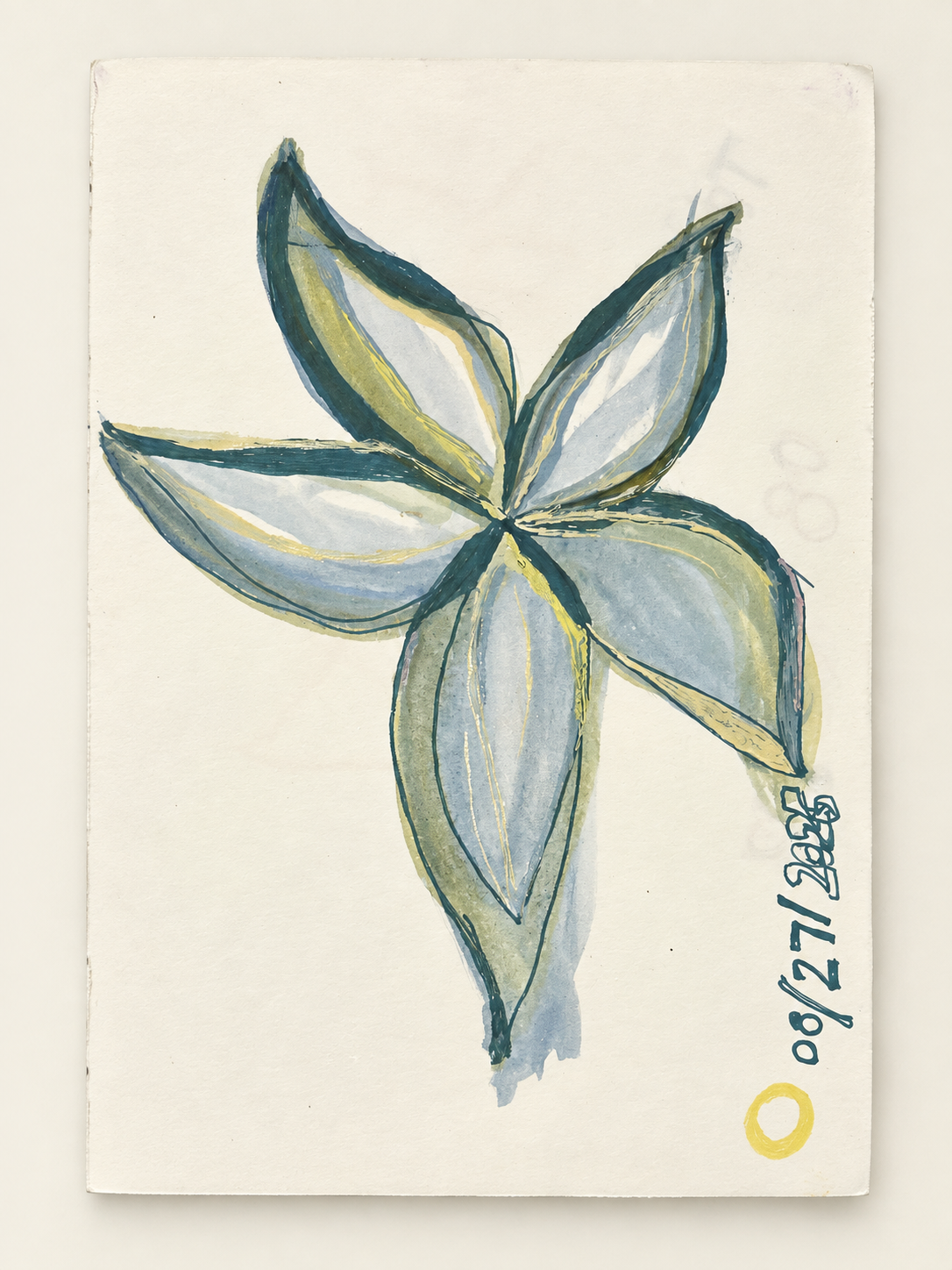 Five-petal flower study painted in teal, blue-gray, olive, and pale yellow